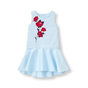 Janie and Jack Sky Blue Poppy Flower Dress Size 6